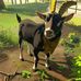 Nathan Cumiskey - Facebook