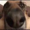 nathancutler3080 - @nathancutler3080 - TikTok