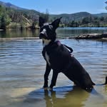 Nathan Dahlen - @procrastinathan530 - Instagram