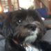 Nathan Daigle - Facebook