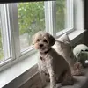 natedaly - @nathan.daly - TikTok