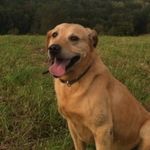 Nathan Darr - @nathan_darr - Instagram