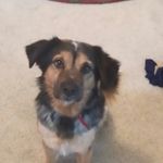 Nathan.Darr - @nathan.rules2313 - Instagram