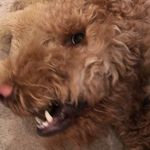 Nathan Daugherty - @ndaugherty0801 - Instagram