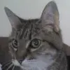 nathandaugherty81 - @nathandaugherty81 - TikTok