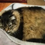 Nathan Deboer - @nathan_deboer27 - Instagram