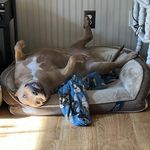 Nathan DeBord - @debordnathan - Instagram