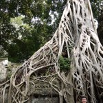 @nathandebord - Instagram
