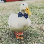 Nathan Dee - @nathandee9 - Instagram