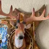 nathanthe - @nathandeer3445 - TikTok