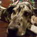 Nathan R. Deters - Facebook