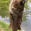 Nathan Devers - @nathan.devers06 - TikTok