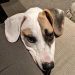 Nathan Dewey - @lulu_lippers - Instagram