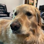 Nathan Dickey - @nathan._.dickey - Instagram
