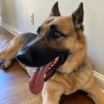 Nathan Dinges - @bro_acid_999 - Instagram