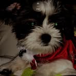 Nathan Dinh - Facebook