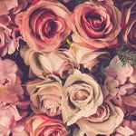 𝓝𝓪𝓽𝓱𝓪𝓷 & 𝓓𝓲𝓸𝓷 & 𝓡𝓱𝓮𝓪 ❤️ - @_our_home.69 - Instagram
