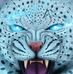 Nathan Dercksen - Facebook