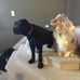 Nathan Doerksen - Facebook