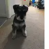 Nathan Dodds - @nathan.d_ - TikTok