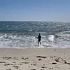 Nathan.Dodds1872 - @nj.dodds - TikTok