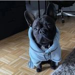 Nathan - @nat.handolin1 - Instagram