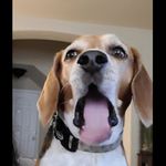Nathan Domenech - @peachcobbler_93 - Instagram