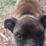 Nathan Dooley - @nathan.dooley.90260 - Instagram