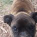 Nathan Dooley - Facebook