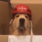 @nathan_dorsey97 - Instagram