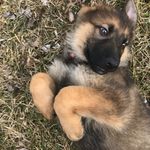 Nathan Dotson - @nate.dotson - Instagram