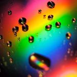 Nathan Dougherty - @natedoge1234 - Instagram