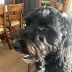 Nathan Draksler - Facebook