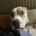 Nate - @dreyer_nathan - Instagram
