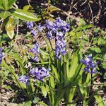 Nathan Dreyer - @nathans_grand_day_out - Instagram