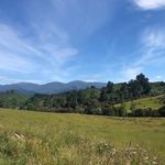 Nathan Dryden - @nathan.dryden.5 - Instagram