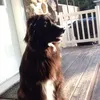 Nathan Dumont - @.....k348 - TikTok