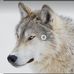 Nathan Dunlap - Facebook