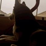 Nathan Dunlap - @coffee_657 - Instagram