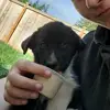 nathandunlap02 - @nathandunlap126 - TikTok