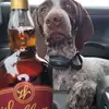 nathandunlap715 - @nathandunlap715 - TikTok