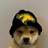 Nathan Duran - @bruin37 - TikTok