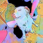Nathan Dutton - @ndutton150 - Instagram