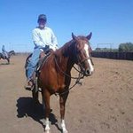 Nathan Easley - @bare_back_jack - Instagram