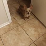 nathan - @nathaneasley1 - Instagram