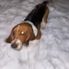 nathan_easter_8 - @nathan_easter_8 - TikTok