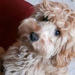nathan easton - @natahan7349 - Instagram