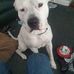 Nathan Easton - Facebook
