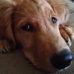 Nathan Eaves - @nathan_eaves - Instagram