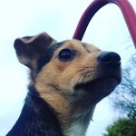 Nathan eaves - @eaves651 - Instagram